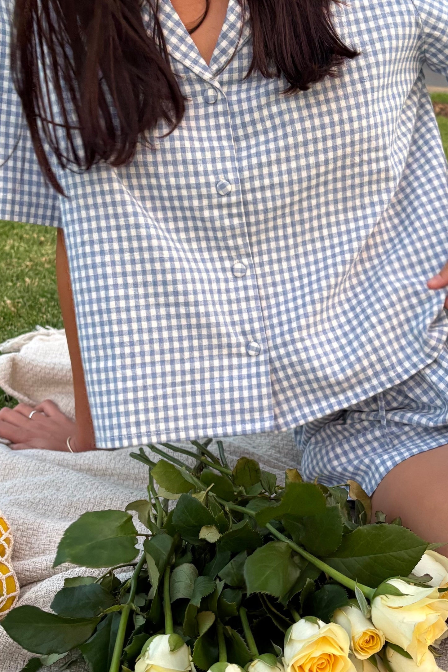 Blue Wren